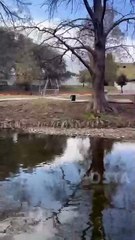 Conoce las maravillas de la naturaleza que te esperan en el Rio La Silla en Guadalupe