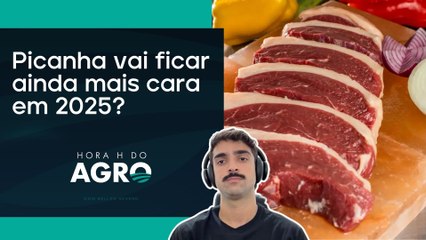 Saiba quando o preço do boi gordo vai voltar a subir! | HORA H DO AGRO