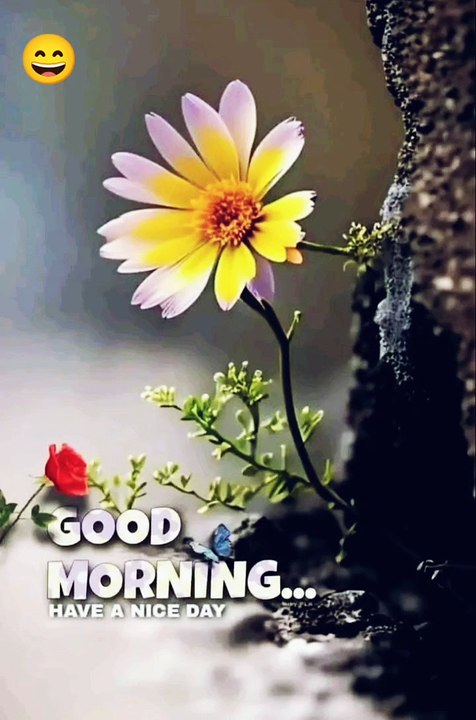Good Morning