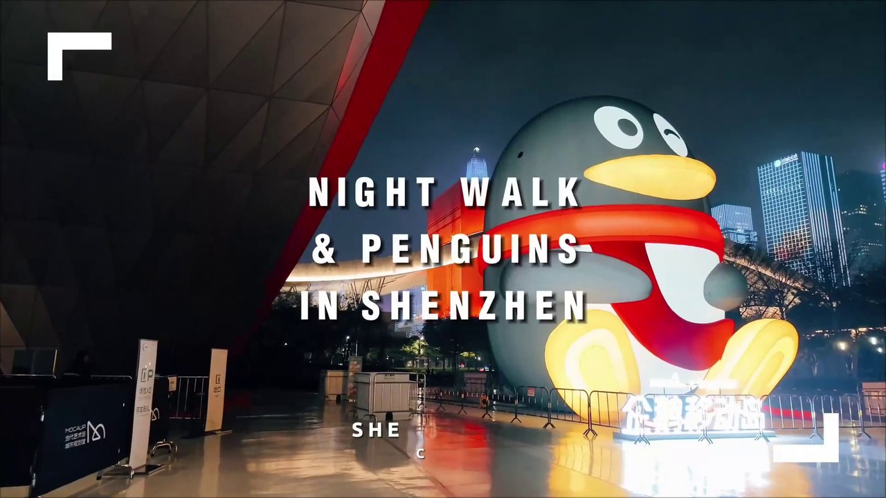 Night Walk and Huge Tencent QQ Penguins in Shenzhen, China 🇨🇳