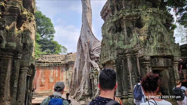 Ta Prohm, where the movie Tomb Raider was shot - Siem Reap, Cambodia Holidays