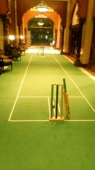 Cricket 🏏 carpet