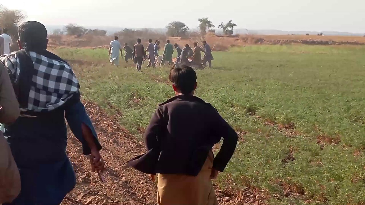 Soor Ka Shikar kaise karte hain || wild boar hunting with dog...