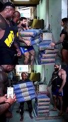 Strength of a manual worker vs bodybuilders