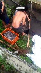 2 jenis jaring keramba ini yang sering digunakan untuk panen & sortir ikan lele
