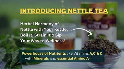 Anti- Ageing benefits of Stinging Nettle