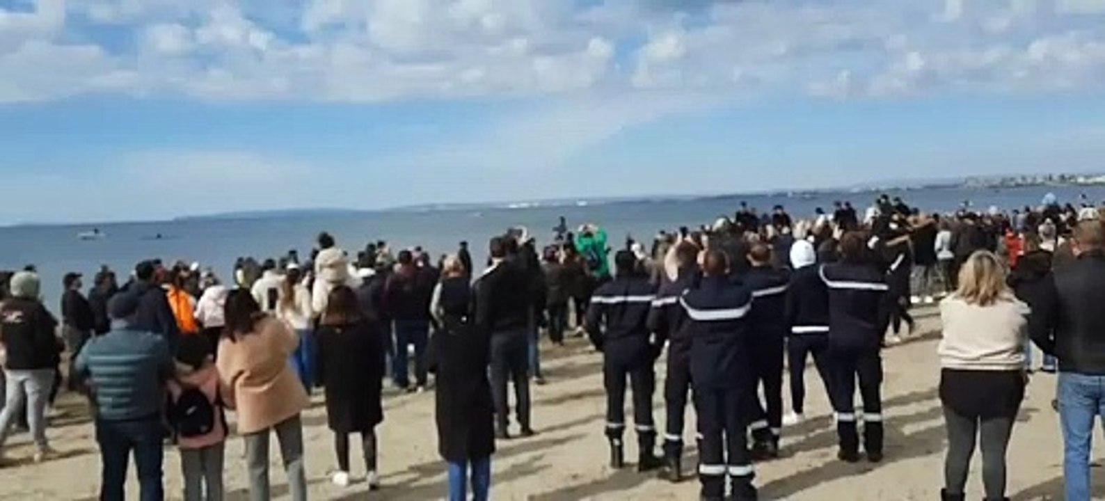 L'abrivado des plages au Grau-du-Roi