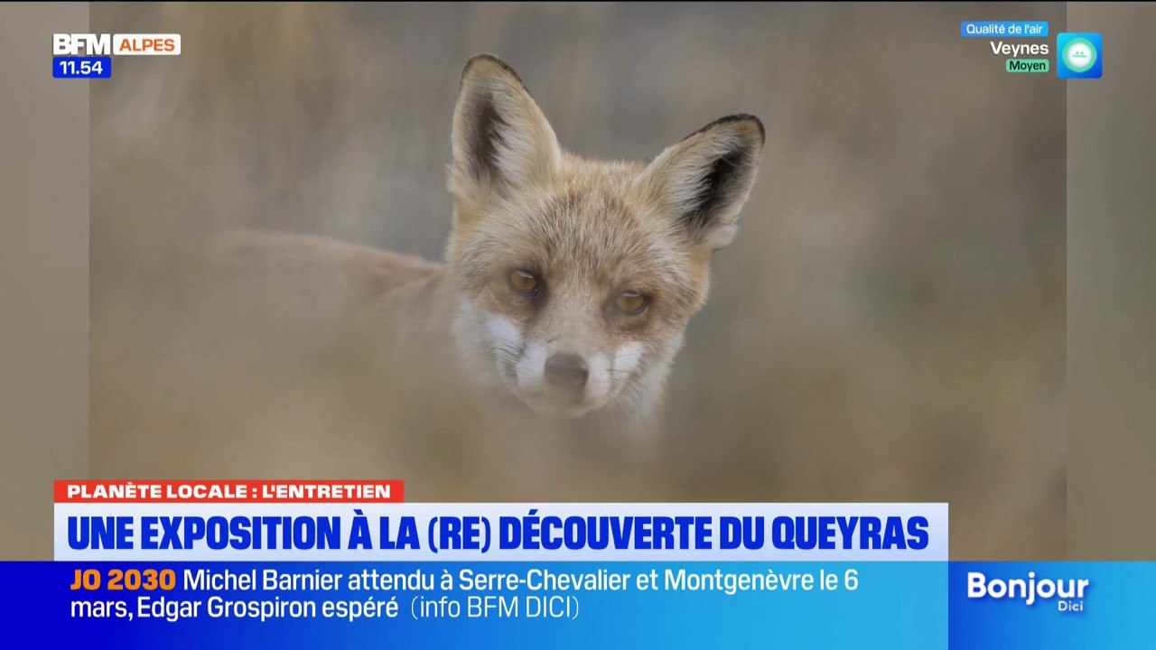 Hautes-Alpes : la photographie pour sensibiliser à la nature