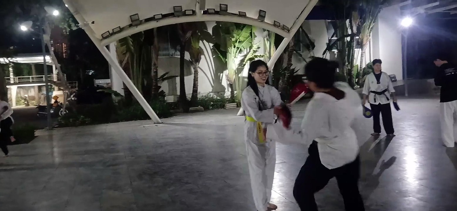 Taekwondo , tkd, tlu  20250224_192320