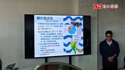 龍虎斑成功外銷日本 漁業署：MIT放眼全世界