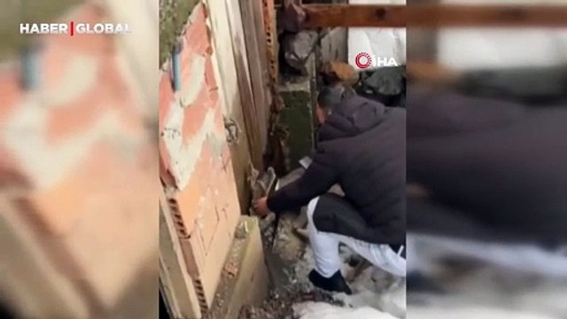 Karda aç kalıp şehre inen karacayı köpeklerin saldırısından böyle kurtardılar
