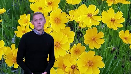 Met Office Afternoon Forecast 01/03/2025 - A sunny start to spring