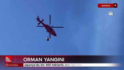 Japonya'da bin 400 hektarlık alan kül oldu