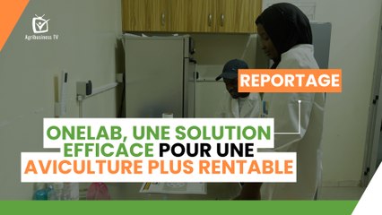 Agri Actu : OneLab, une solution efficace pour une aviculture plus rentable