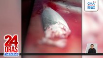 Putol na braso ng tao, natagpuan sa tiyan ng pating | 24 Oras Weekend
