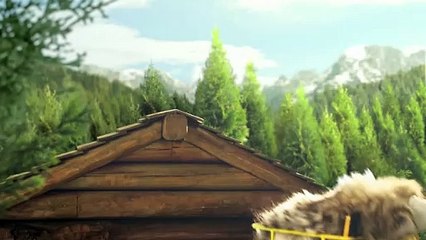 Bouygues Telecom présente les Chatons Telecom