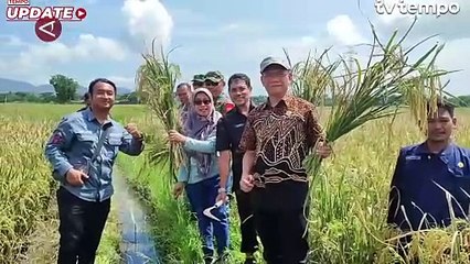 Bulog Serap GKP Hasil Panen Perdana di Cilegon
