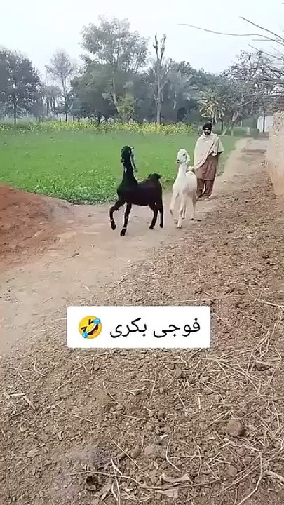 Askeri
