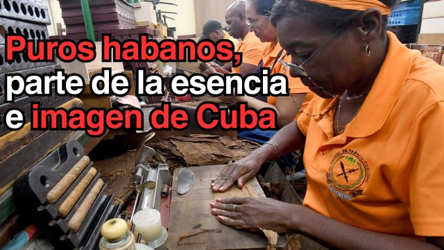 Puros habanos, parte de la esencia e imagen de Cuba