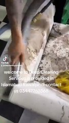 We are proveded deep cleaning services ISB