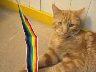 Sean joue... calmement