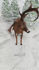 How Deer Regrow Their Antlers 🤔