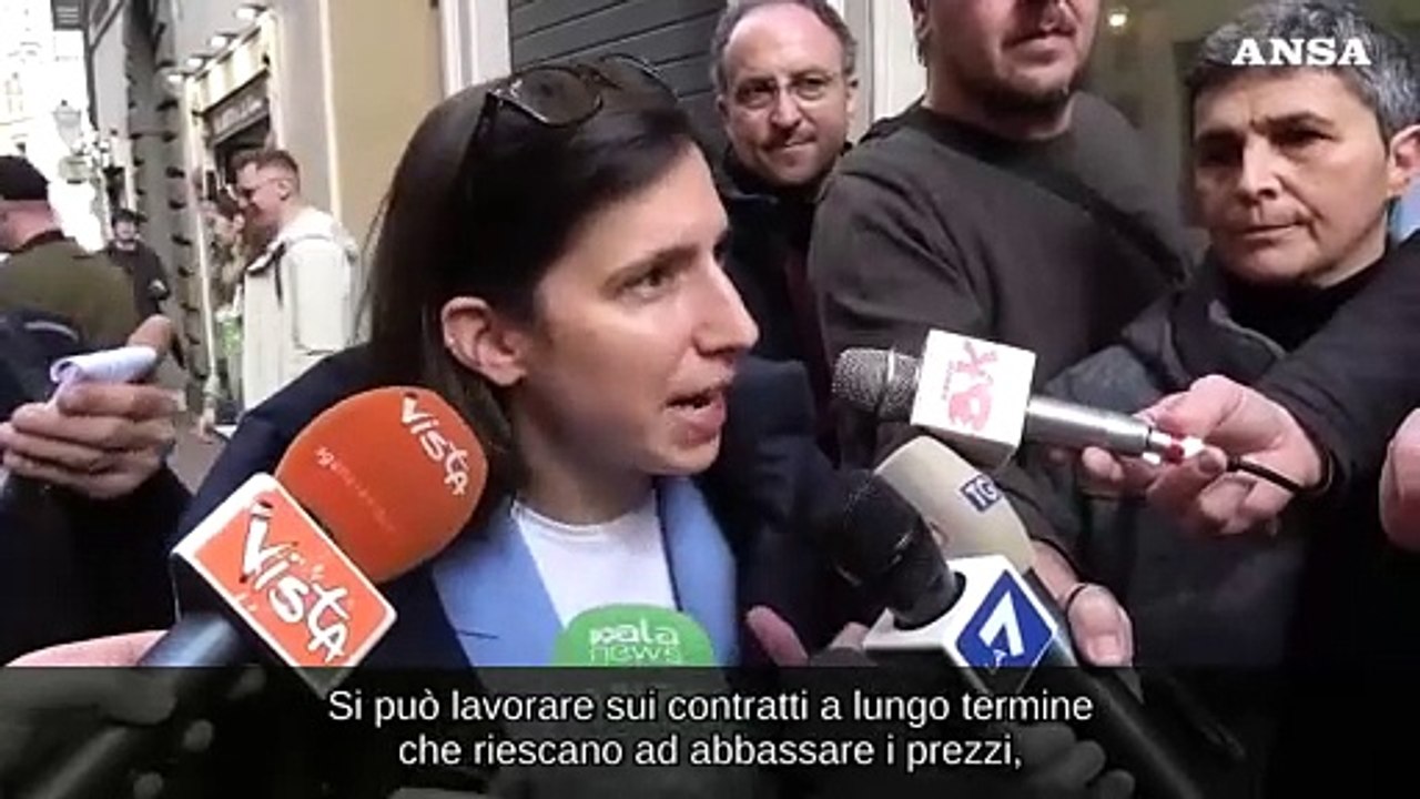 Bollette, Schlein: "Serve disaccoppiamento prezzi e tetto a prezzo gas"