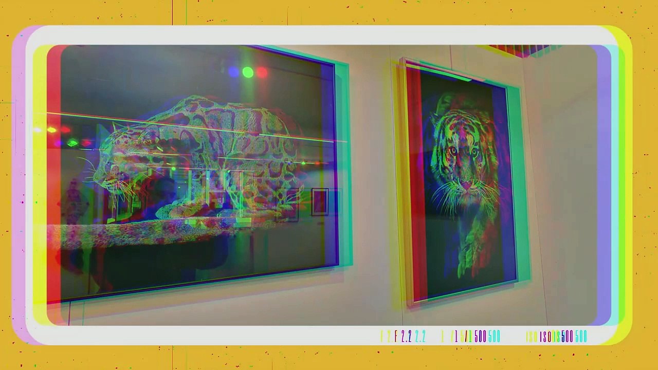 Brumath L'art dans tous ses états 2025 Vidéo Promo