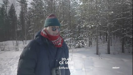 L'Archipel des forêts