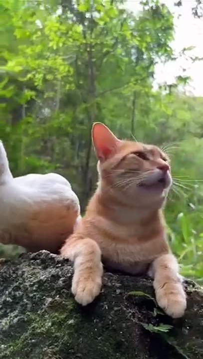 Welpe entdeckt Schnee! 20250301