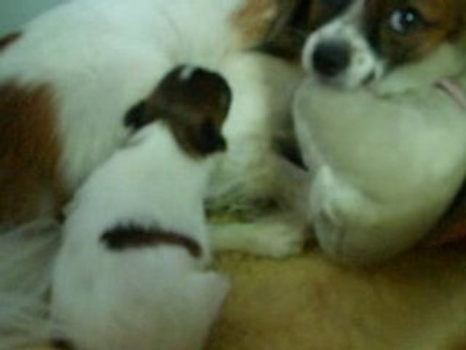 Bébé se réveille et trouve la tétine d'angie