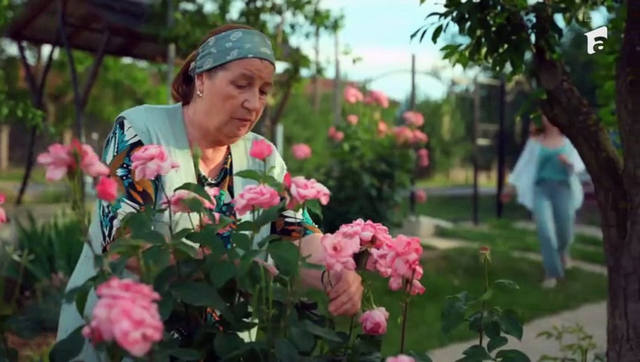 Iubire cu parfum de lavanda sezonul 1 episodul 1