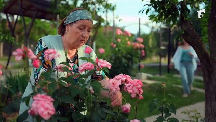 Iubire cu parfum de lavanda sezonul 1 episodul 1