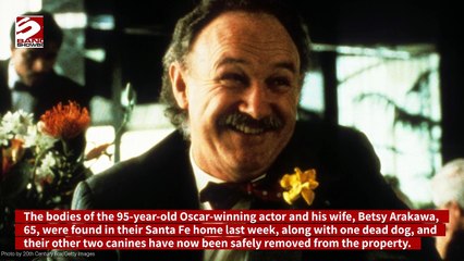 The two dogs found alive at the home of Gene Hackman are now safe