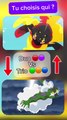 Choisis ton Pokémon favori entre duo des flammes et trio des nuage