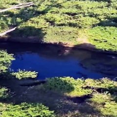 Tanzania: Donde la Naturaleza y el Paraíso se Encuentran