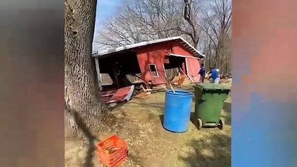 Work Hard Not Smart | Try Not To Laugh