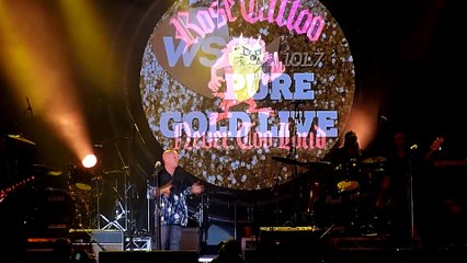 Rose Tattoo - Rock n Roll Outlaw