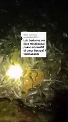 Jangan bertanya seperti ini karena itu salah, sini saya luruskan