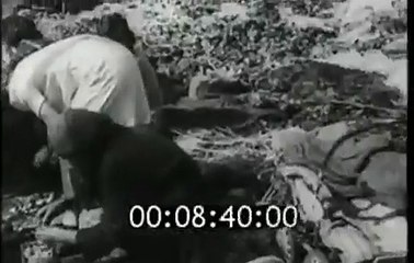 1954. Советская пропаганда о жизни трудящихся в Западном и Восточном Берлине