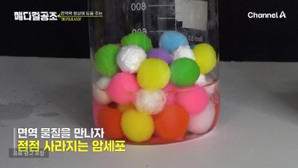 면역력 향상에 도움을 주는 ♨에키네시아 추출물♨의 모든 것!