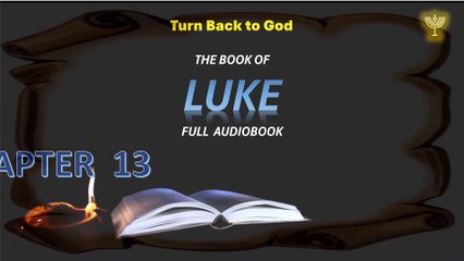 Holy Bible  LUKE  2nd part  13 to 24