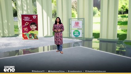 കാളയെ കാട്ടാന കുത്തിക്കൊന്നു; അട്ടപ്പാടിയില്‍ കാട്ടാന ആക്രമണം, ഭീതിയില്‍ പ്രദേശവാസികള്‍