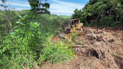 Working Efficiency of Bulldozer D6R XL Forming Palm Terraces in Plantations