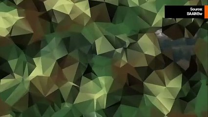 ビデオ: ドイツ海軍の初のP-8Aポセイドンが初飛行を実施