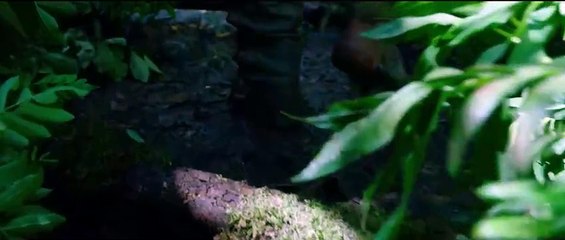 Oro, la cité perdue