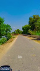 Mera Gaon Meri Jannat   #reels #shorts #maxrecords