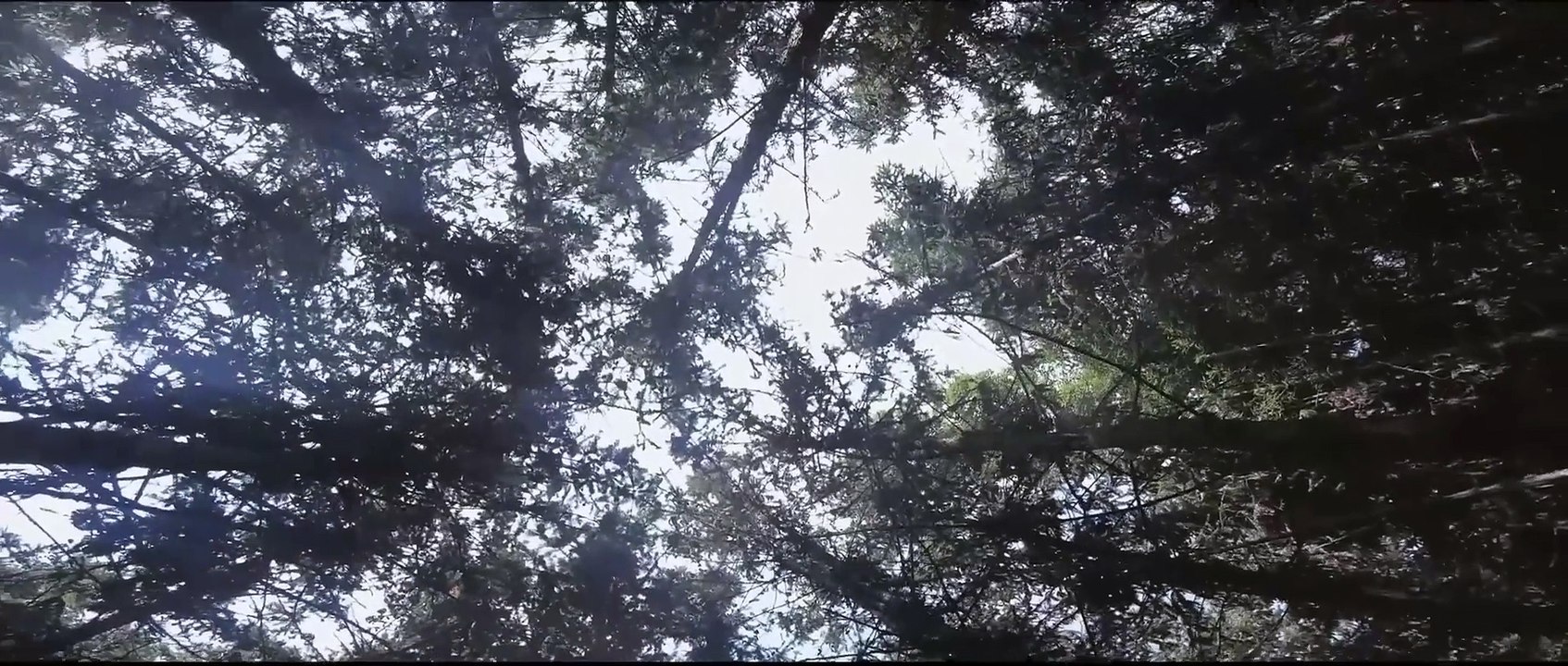 TIỂU ĐỘI ĐẶC CHỦNG ĐỘT KÍCH _ Phim Hành Động Đấu Súng Gay Cấn Siêu Hay _ PHIM HOT