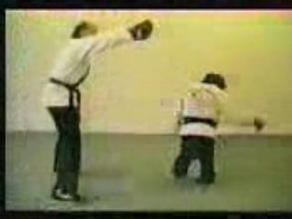 Monkey Kung Fu