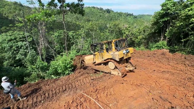 Advantages of the D6R XL Bulldozer Opens Oil Palm Terraces in Steep Plantations